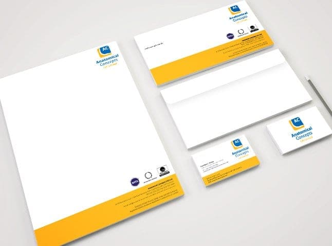 Anatomical Concepts stationery with yellow and blue branding